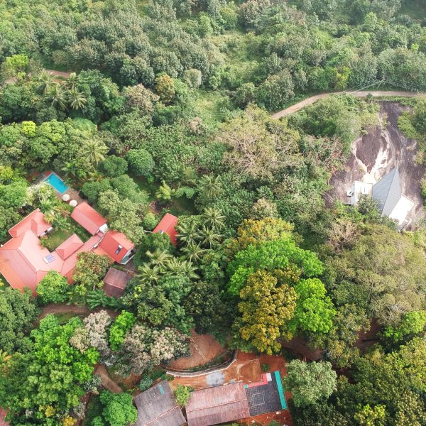 rosyth-tea-eatate-house-overlook