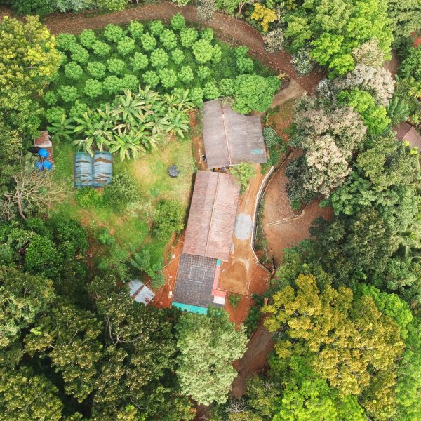 rosyth-tea-factory-2-overlook